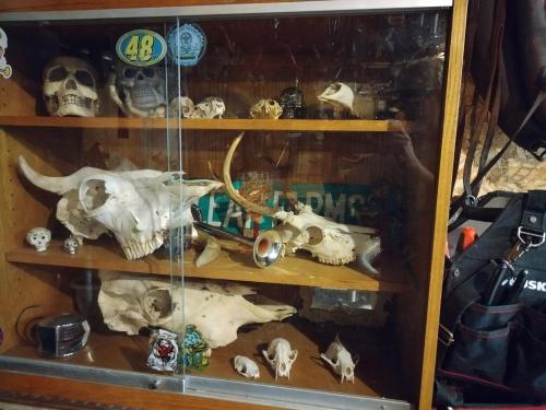 IMG_20230623_192437_HDR