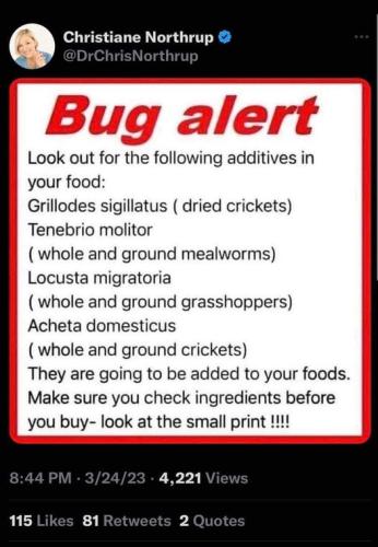 356647305_1440649626755643_3385375716770017339_n