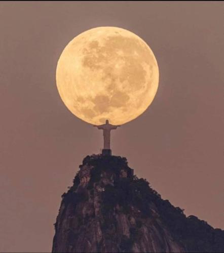 FB_IMG_1686712824033