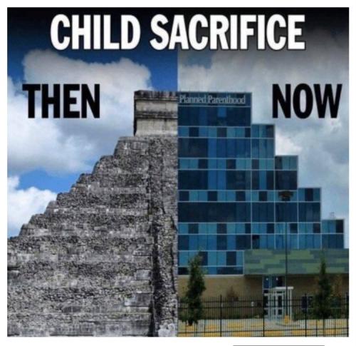 Screenshot_20230611_221446_Wimkin Pro