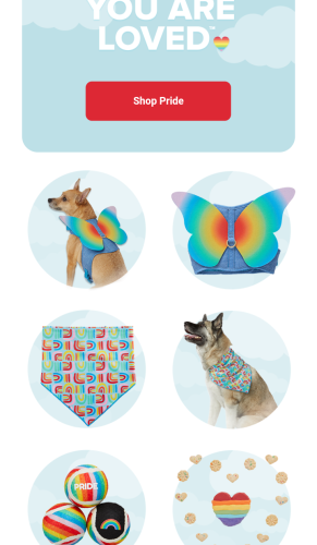 Screenshot_20230605-113944~2