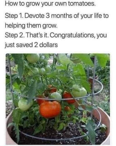 FB_IMG_1686948281875