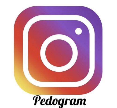 Pedogram 1