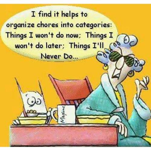 352399377_702657031618573_7538755531499489644_n