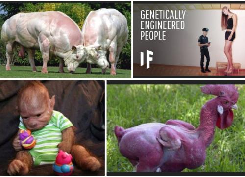 19:48:24 GMT-0400 (EDT)