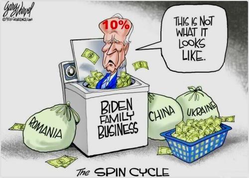 biden business wim