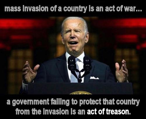 illegal immigration994