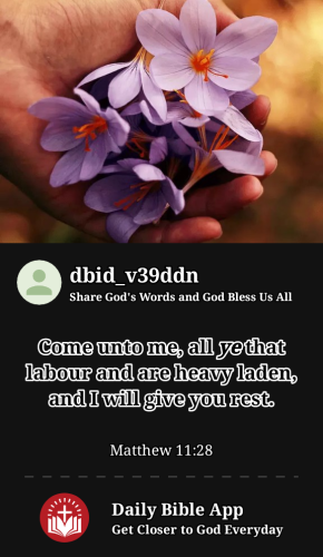 2023-06-201687285696377