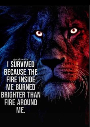 FB_IMG_1685751806950