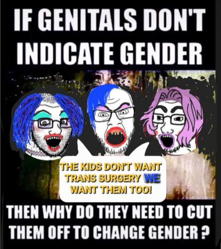 Screenshot_20230617_123202_Wimkin Free Speech Social Media