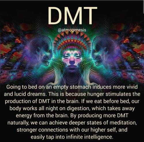 351817496_31014893868