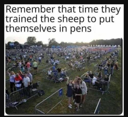 Screenshot_20230620_005521_YouTube