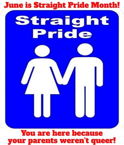June is straight pride month 960px