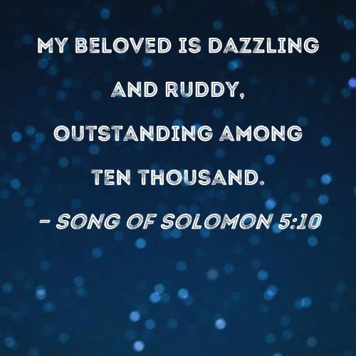 Song of Solomon 5_10