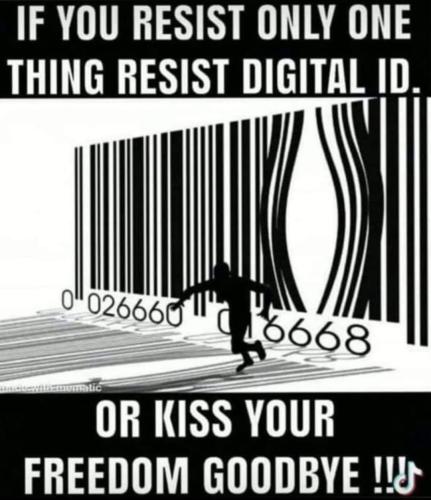 1686684104.889267