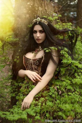 350993385_1266724230637283_379825169450152410_n