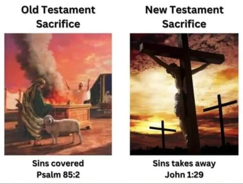 dfb00906-b7ba-4c2b-9c03-264dd2baf6b4