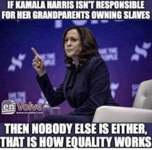 kamala responsible.m mpeg