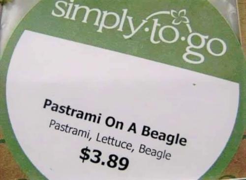 on a beagle