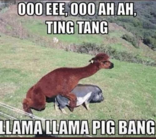 FB_IMG_1686321116821