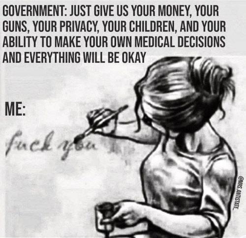 Gov 1