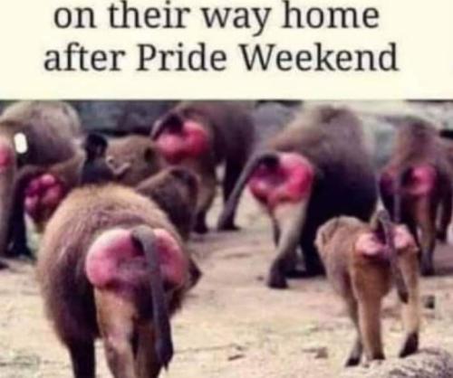 FB_IMG_1686116871005