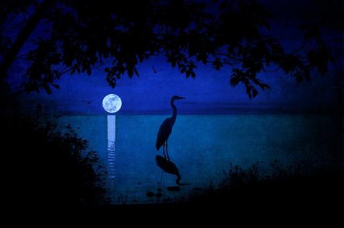 Beautiful night … Photography by Megan Noble