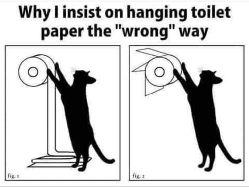 hanging paper