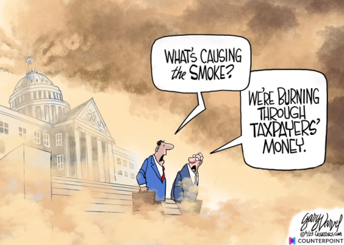 Congress burning money