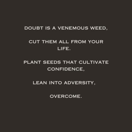 IMG_20230628_051615_715