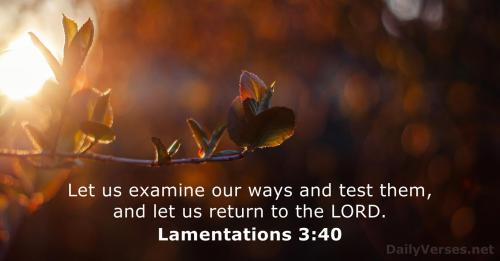 Lamentations 3_40