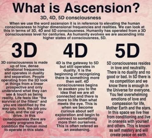 351461171_25962024998