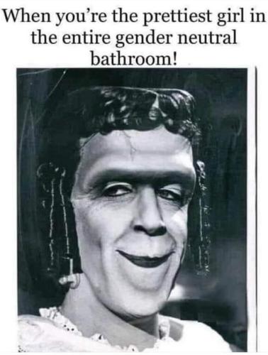 FB_IMG_1685918257663