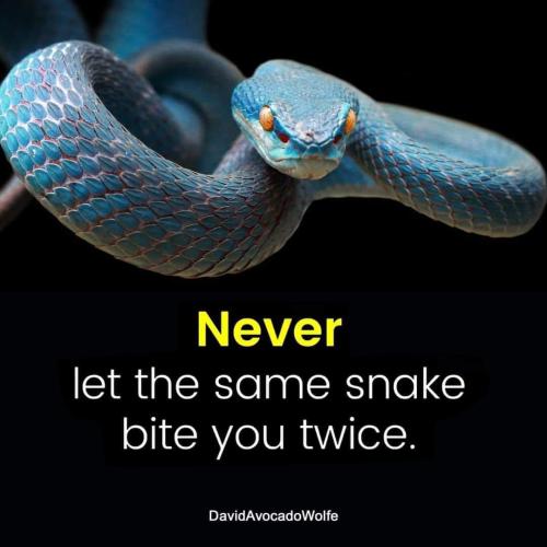 FB_IMG_1686532752590