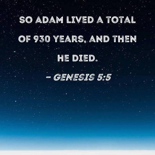 Genesis 5_5