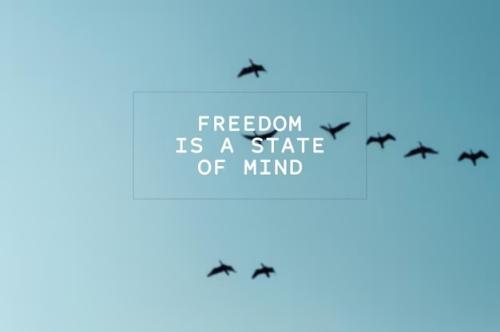 1-Freedom