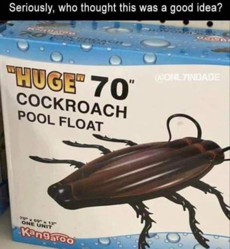 FB_IMG_1686382385633