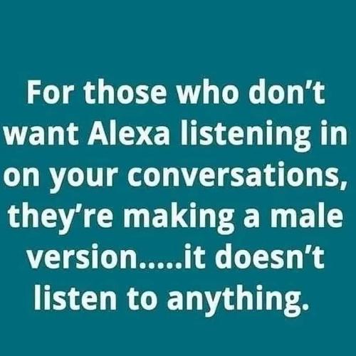 FB_IMG_1687183630469