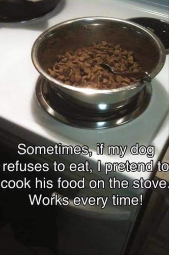 cook his food