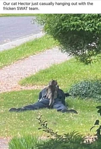 FB_IMG_1686680159481