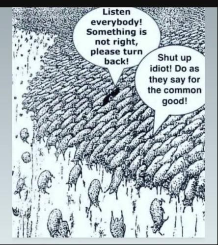 Screenshot_20230615_173236_YouTube