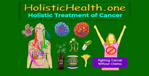 HolisticHealth.one Holistic Treatment of Cancer