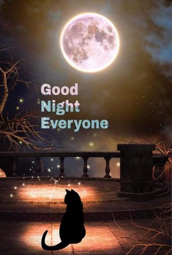 FB_IMG_1687746477322