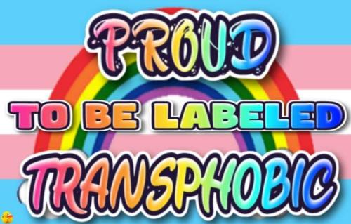 FB_IMG_1685633944558