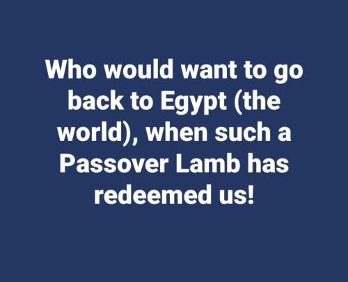 ca53d574-e8fd-4cfc-9d4a-a4094ebefcc3