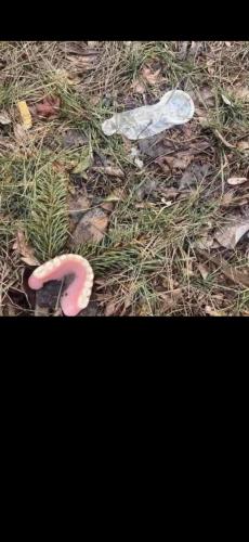 FB_IMG_1686055919319