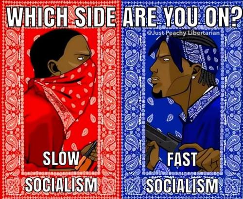 which-side-are-you-on-slow-socialism-vs-fast-socialism