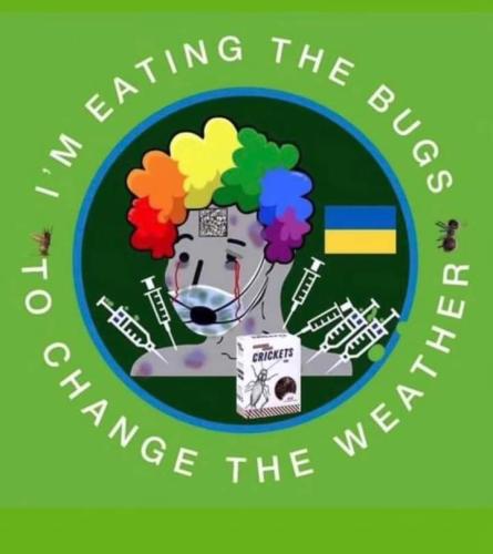 FB_IMG_1686123255629