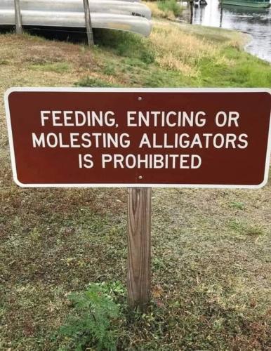 FB_IMG_1686350160997