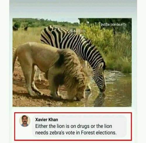 FB_IMG_1685746827747